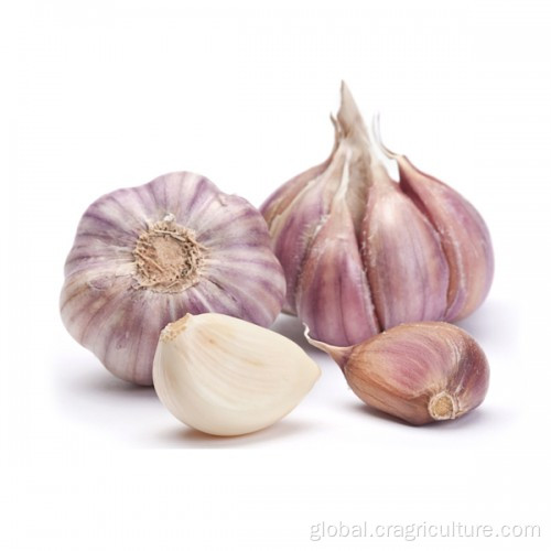 China Natural Fresh Red Garlic Vegetables Price Supplier